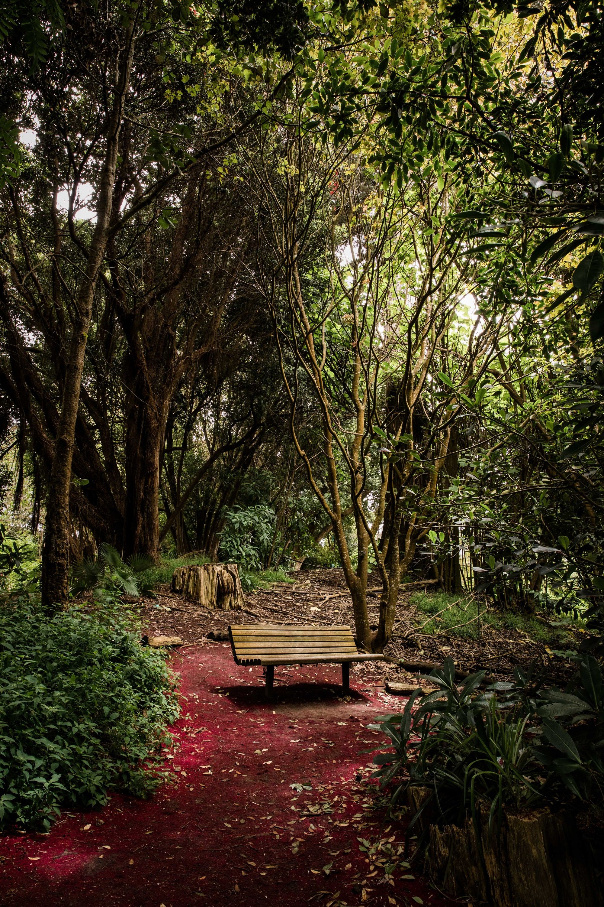 A Moment in the Garden
