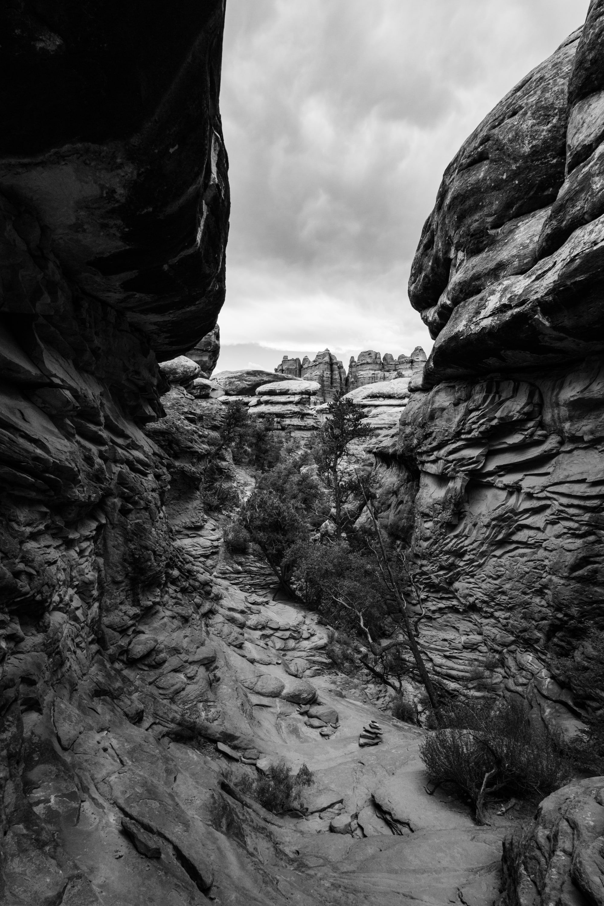 Canyonlands, grayscale